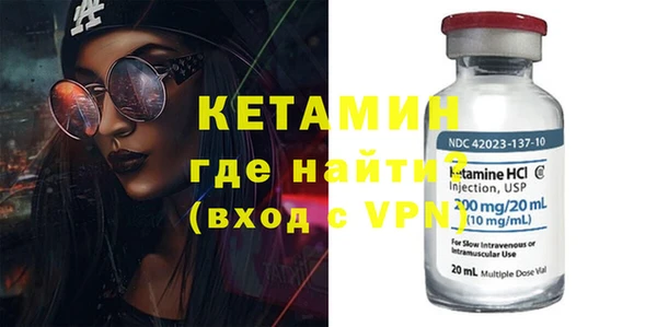 индика Каменка