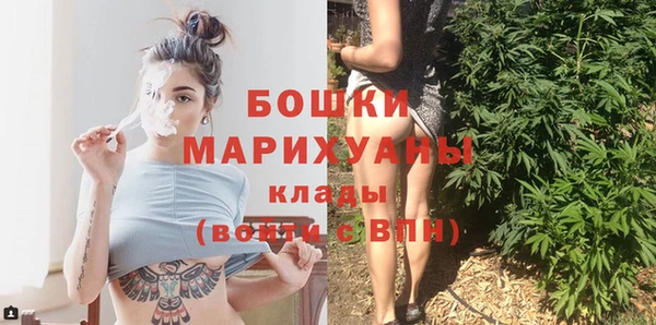 индика Каменка