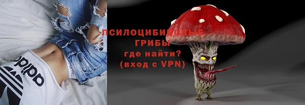 гидропоника Карталы
