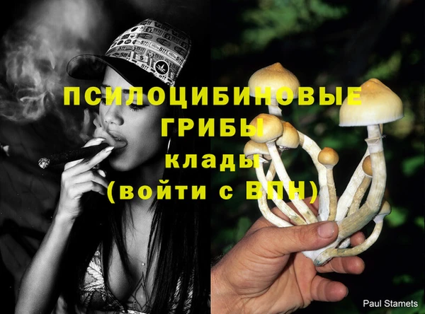 кокс Карпинск