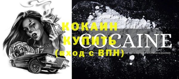 индика Каменка