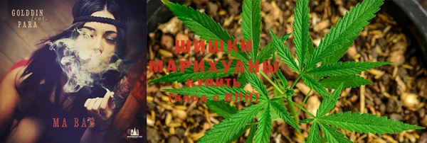 гидропоника Карталы
