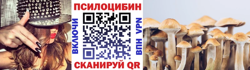 Купить закладки  Зерноград  Псилоцибиновые грибы мухоморы 