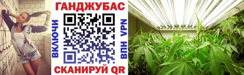 Купить закладки  Зерноград  Конопля SATIVA & INDICA 
